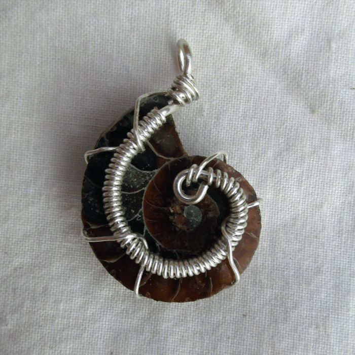 a cut ammonite fossil, wrapped with silver wire into a pendant